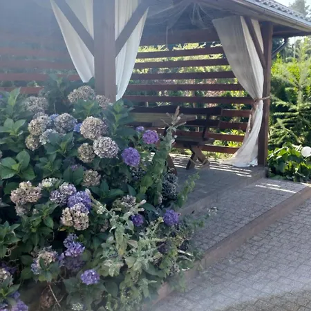 Cykada 4 Alloggio in famiglia *